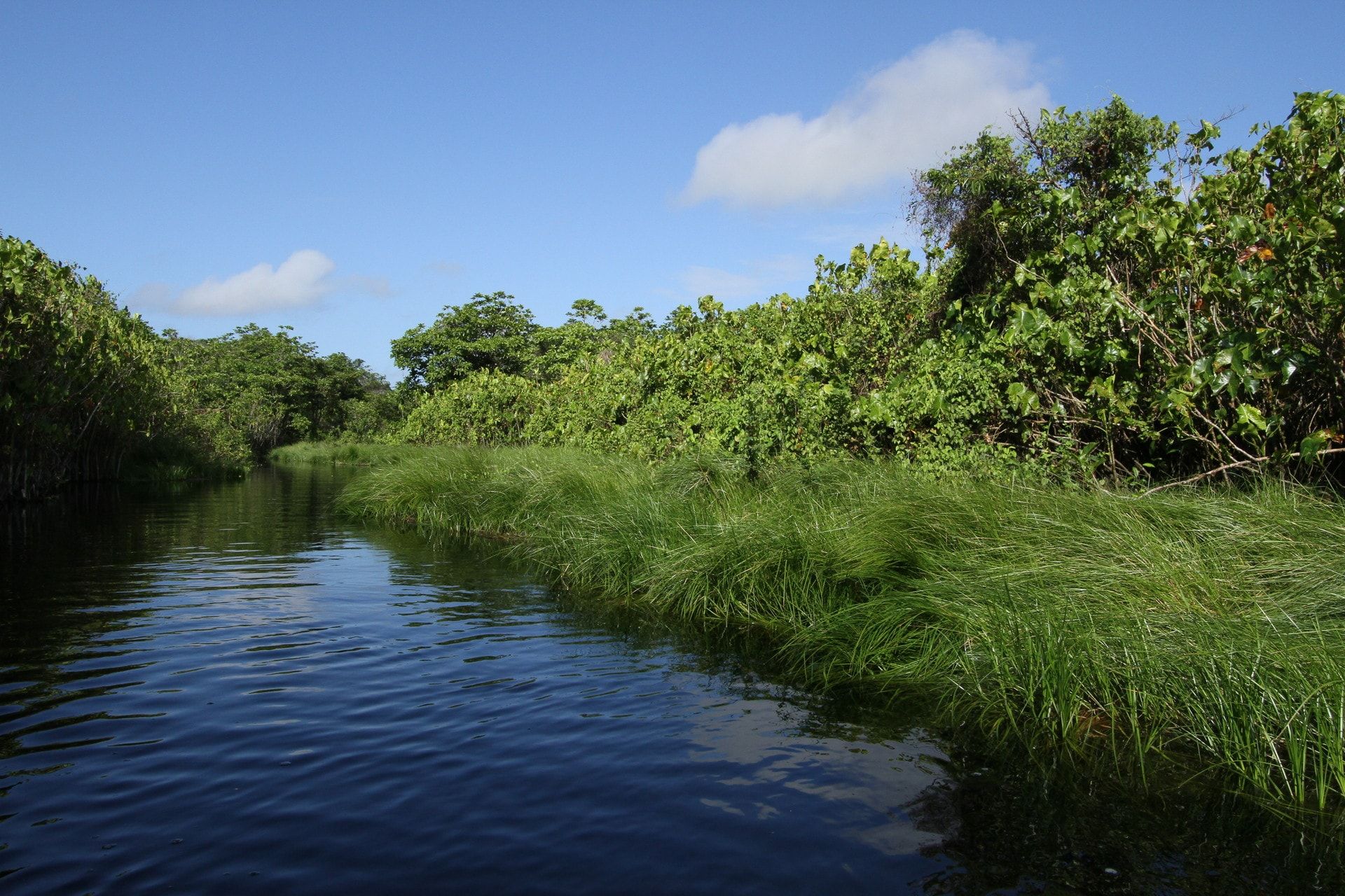 Caractéristiques du bassin de Guyane - Guyane - Comité Eau et Biodiversité